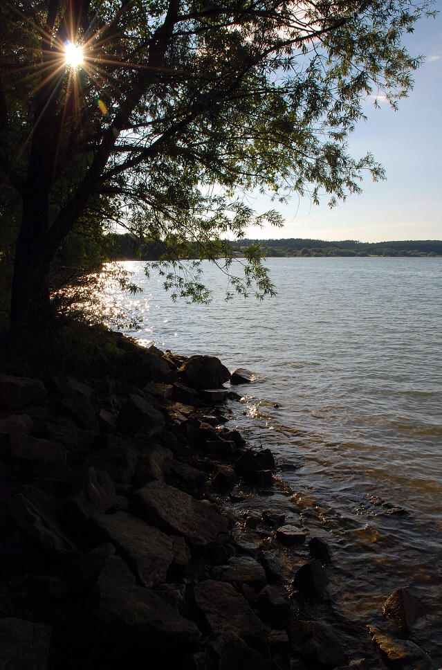DSC_0029.jpg