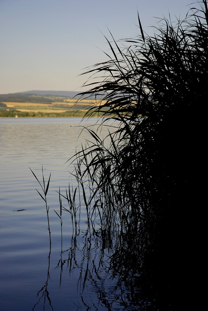DSC_0036.jpg