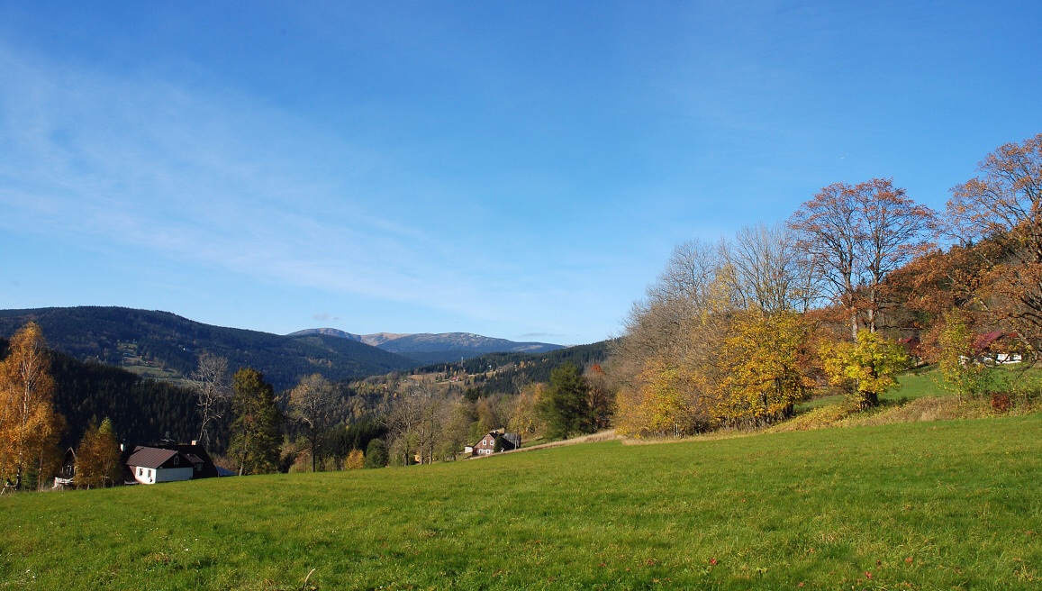 DSC_0082.jpg