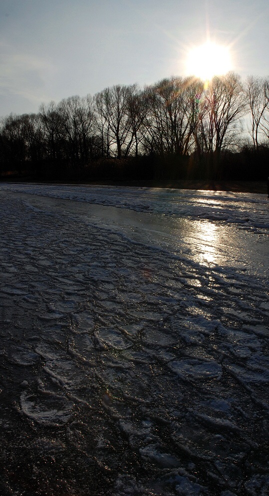 DSC_0007.jpg