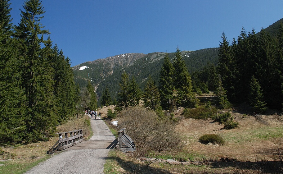 DSC_0017.jpg