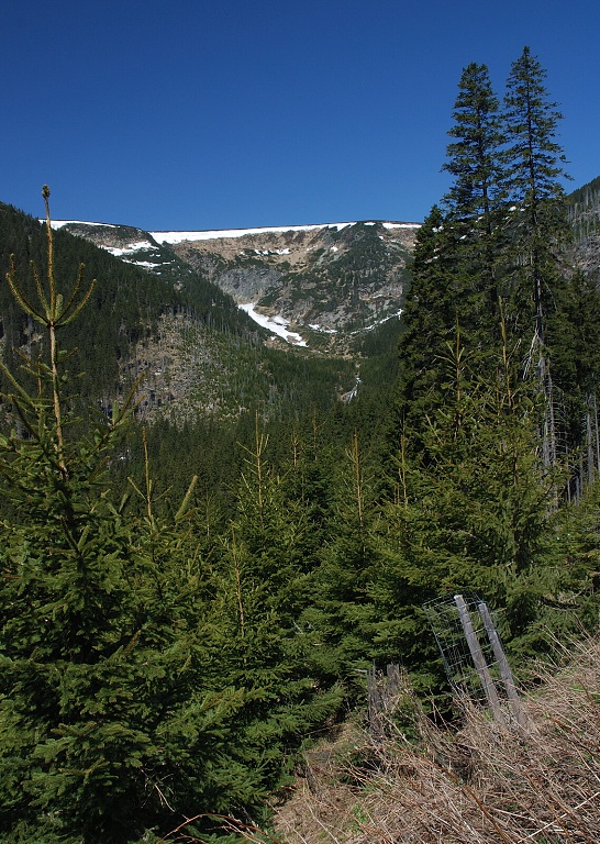 DSC_0024.jpg
