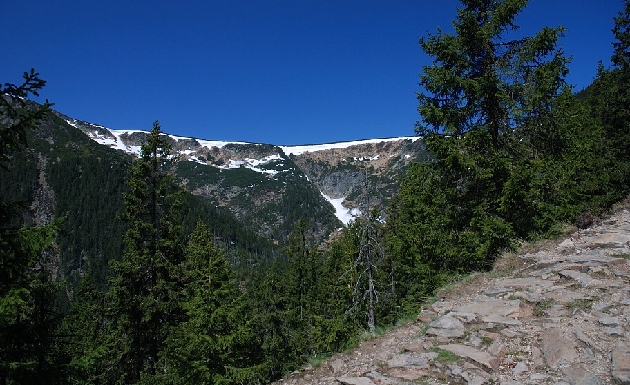 DSC_0033.jpg