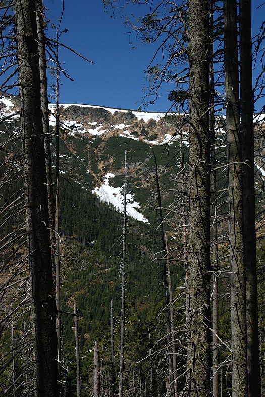 DSC_0034.jpg
