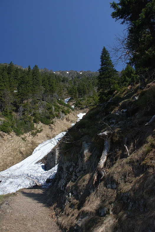 DSC_0039.jpg