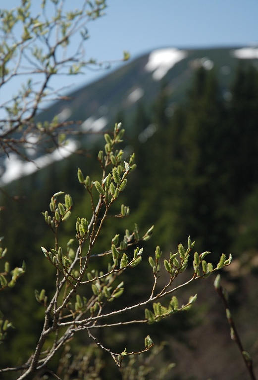 DSC_0047.jpg