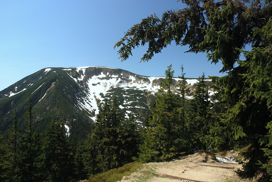 DSC_0052.jpg