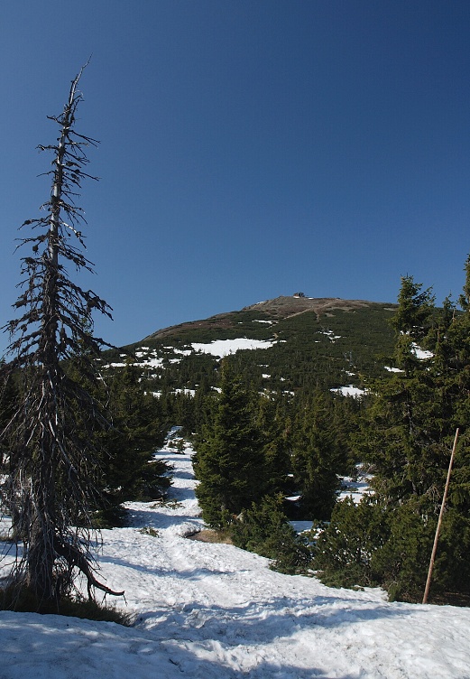 DSC_0081.jpg