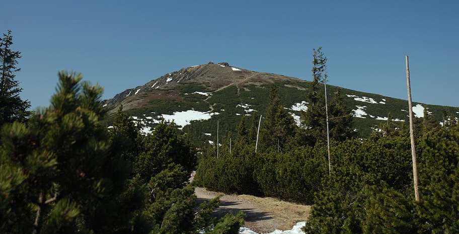 DSC_0084.jpg